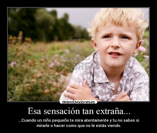 Esa sensación tan extraña... - ...Cuando un niño pequeño te mira atentamente y tu no sabes si
mirarle o hacer como que no le estás viendo.