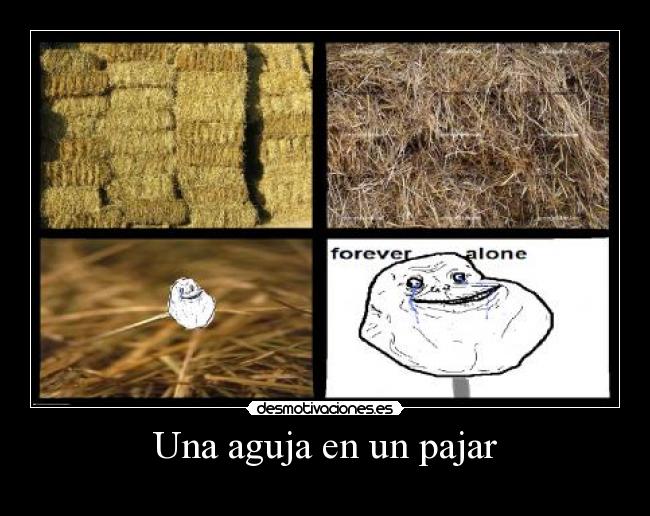 Una aguja en un pajar -