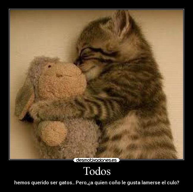 Todos - hemos querido ser gatos.. Pero,¿a quien coño le gusta lamerse el culo?