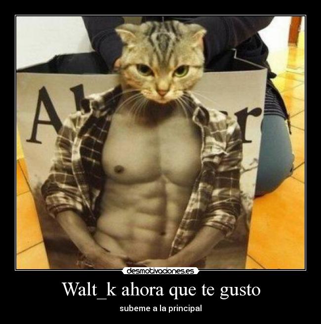 carteles xdxd desmotivaciones