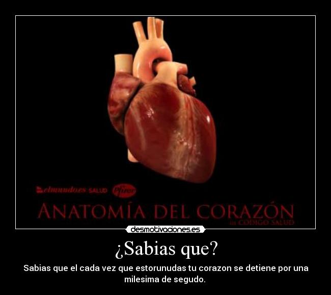 ¿Sabias que? - Sabias que el cada vez que estorunudas tu corazon se detiene por una
milesima de segudo.