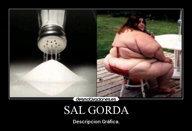 SAL GORDA - Descripcion Gráfica.
