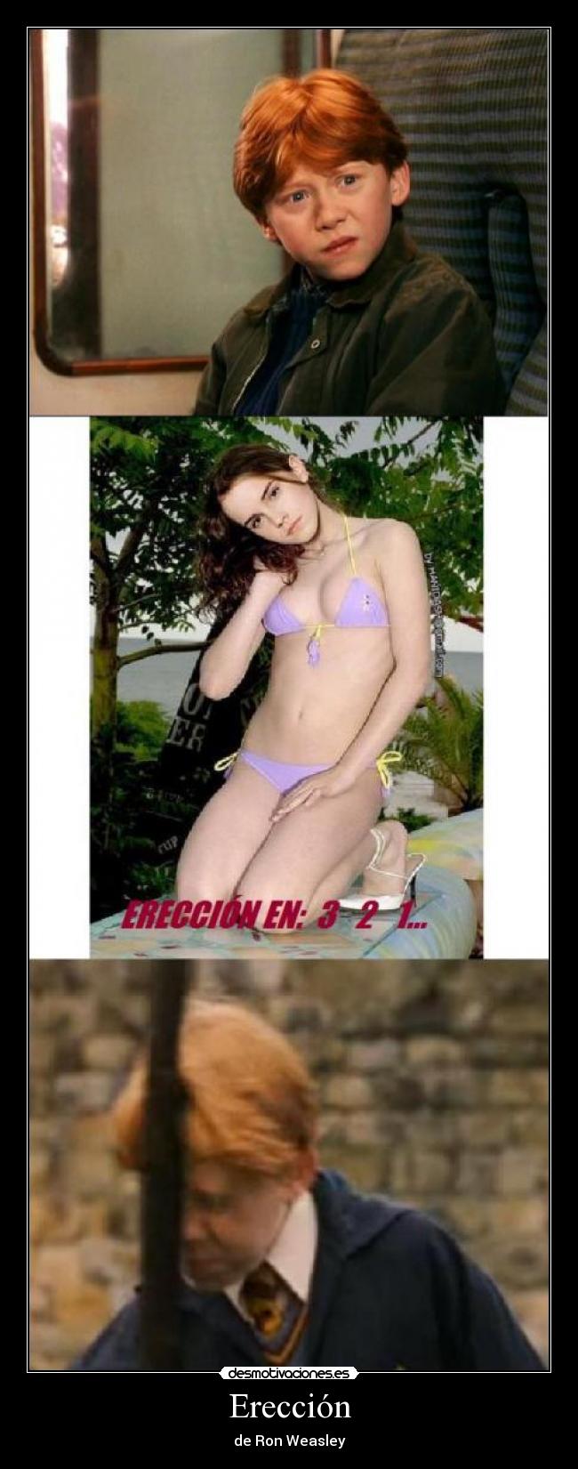 Erección - de Ron Weasley
