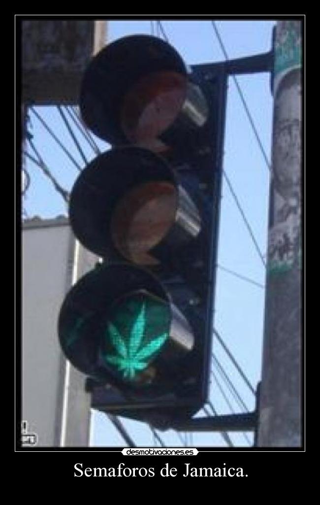 Semaforos de Jamaica. -
