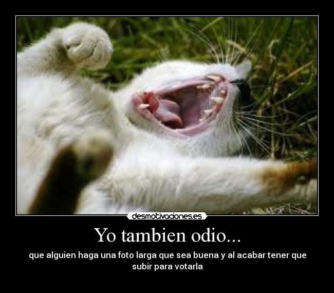 Yo tambien odio... - 