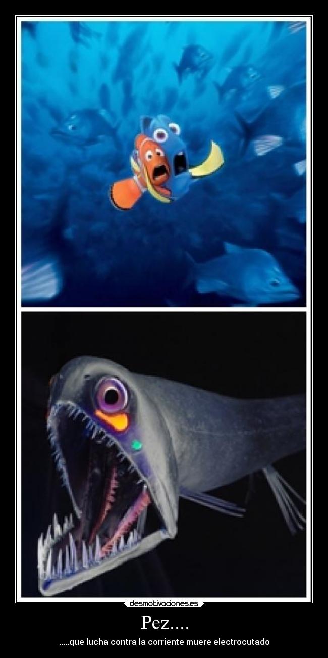 Pez.... - .....que lucha contra la corriente muere electrocutado