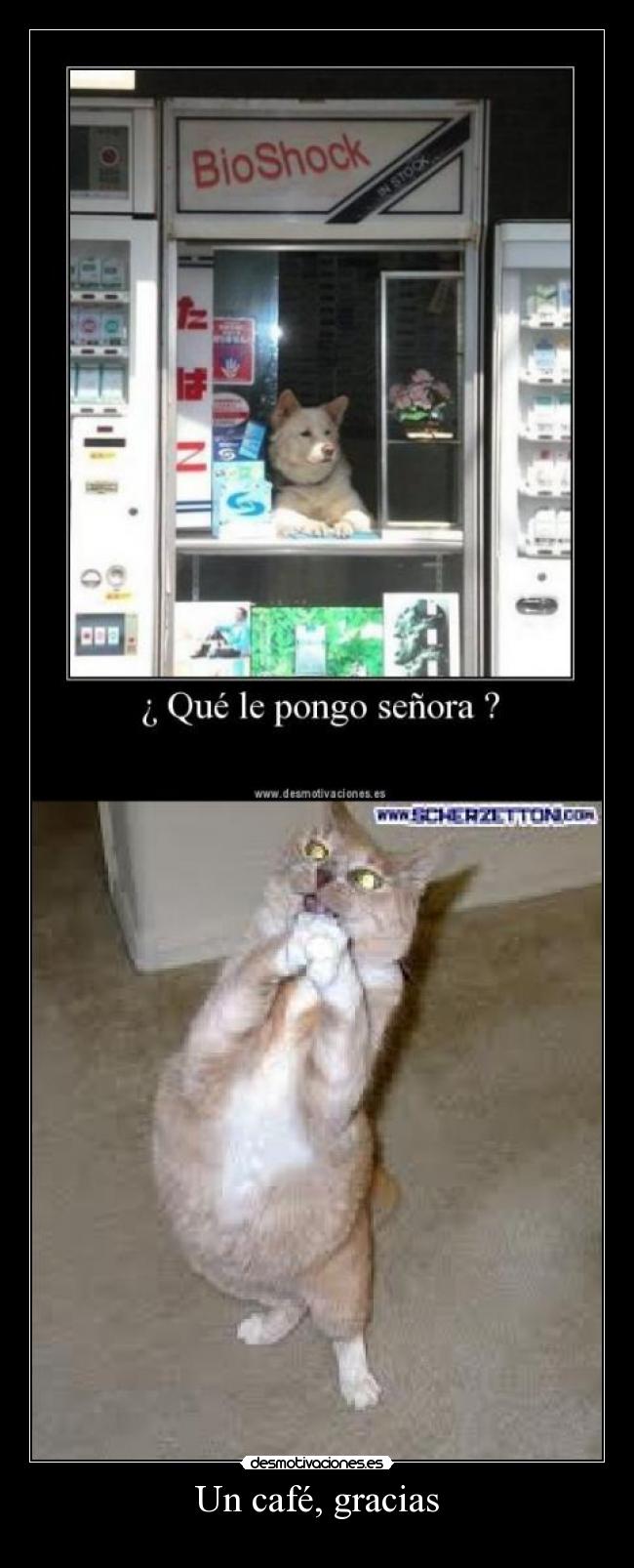 Un café, gracias - 