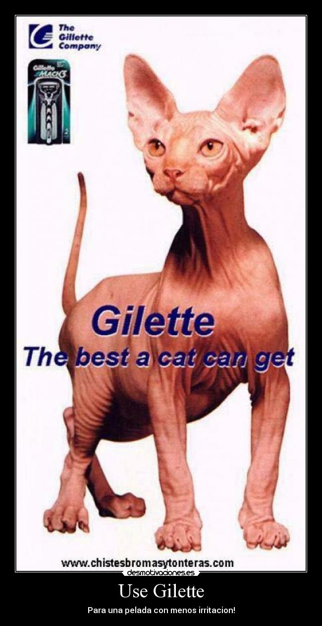 carteles gillette desmotivaciones