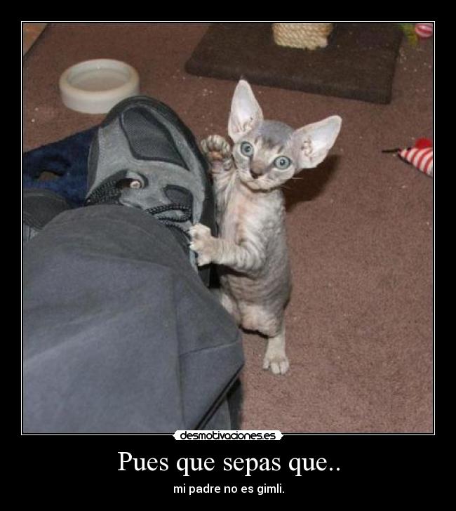 Pues que sepas que.. - mi padre no es gimli.