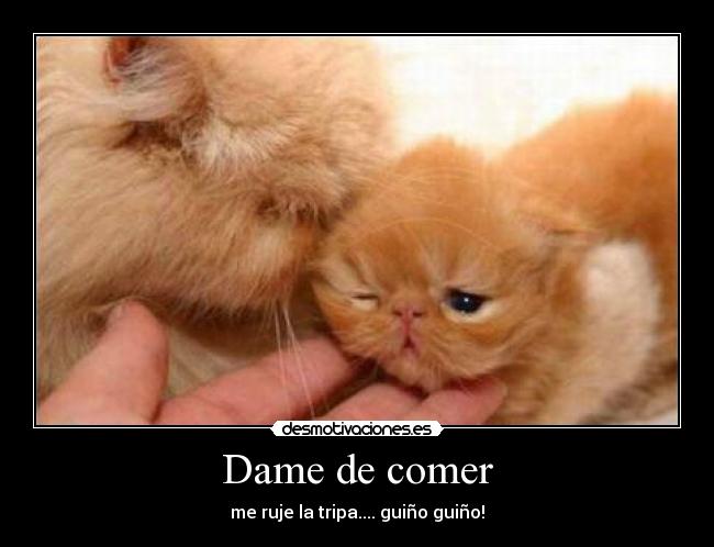 Dame de comer - me ruje la tripa.... guiño guiño!