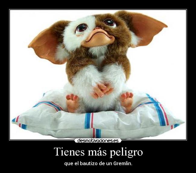 Tienes más peligro - que el bautizo de un Gremlin.