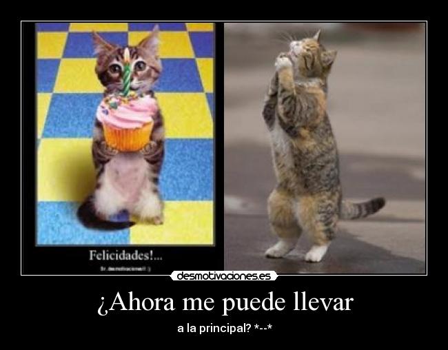 ¿Ahora me puede llevar - a la principal? *--*