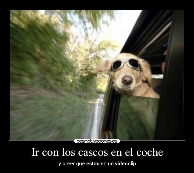 Ir con los cascos en el coche - 