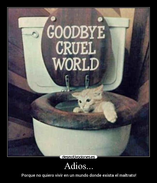 Adios... - Porque no quiero vivir en un mundo donde exista el maltrato!