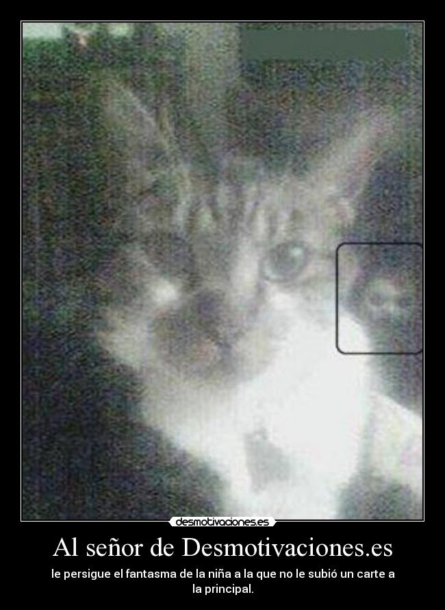 Al señor de Desmotivaciones.es - 