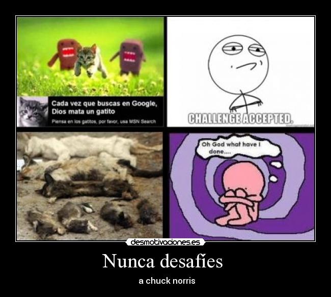 Nunca desafíes - a chuck norris