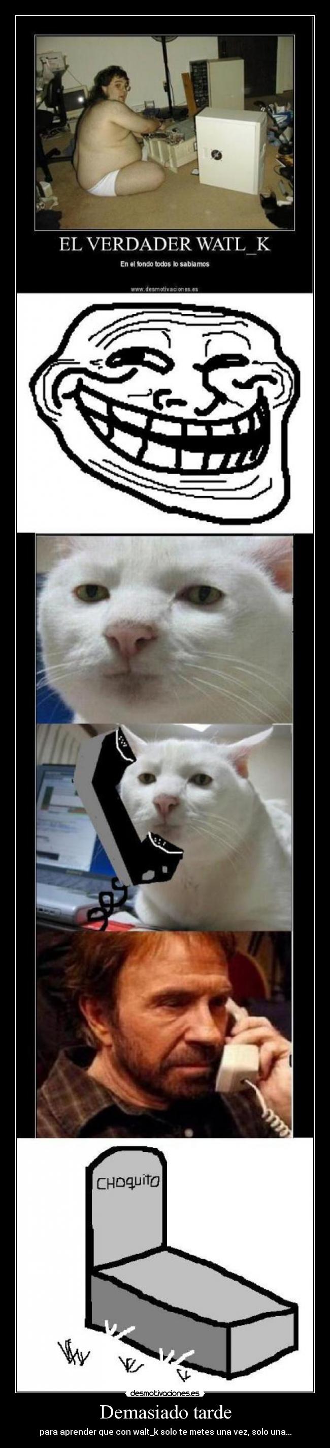 Demasiado tarde - para aprender que con walt_k solo te metes una vez, solo una...