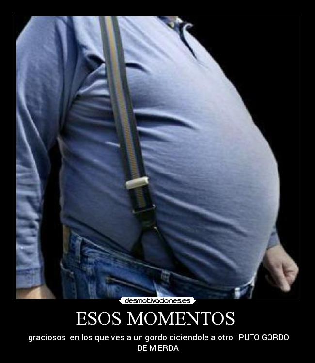ESOS MOMENTOS - graciosos en los que ves a un gordo diciendole a otro : PUTO GORDO DE MIERDA