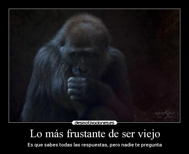 Lo más frustante de ser viejo - Es que sabes todas las respuestas, pero nadie te pregunta