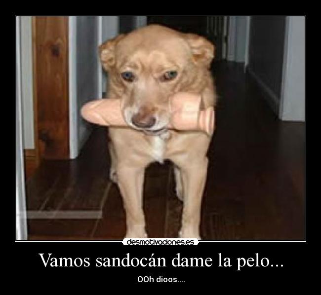 Vamos sandocán dame la pelo... - OOh dioos....