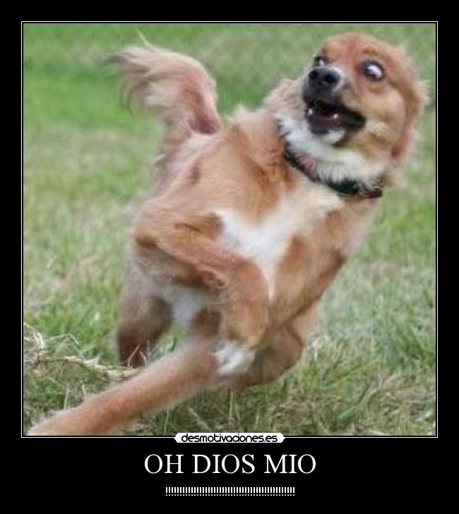 OH DIOS MIO -