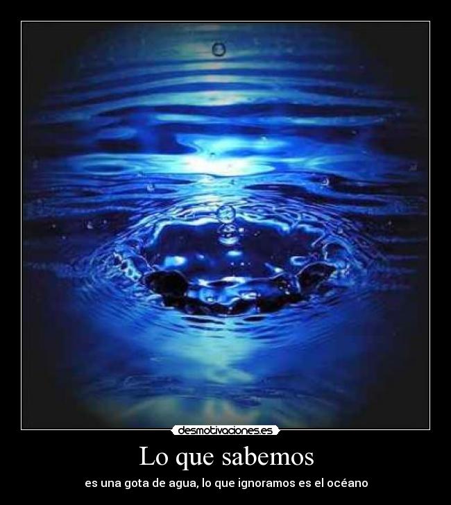 Lo que sabemos -
