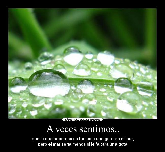 A veces sentimos.. - 