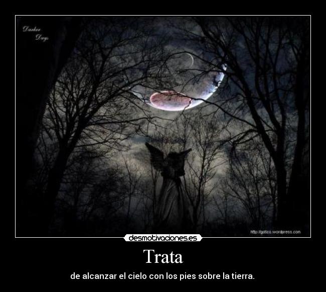 Trata - de alcanzar el cielo con los pies sobre la tierra. 