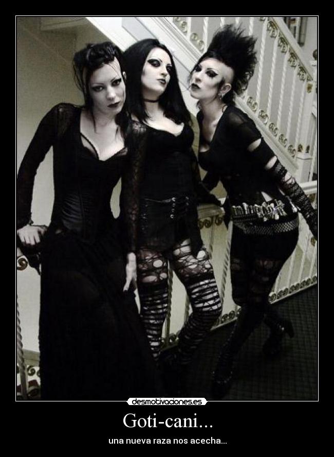 Goti-cani... -