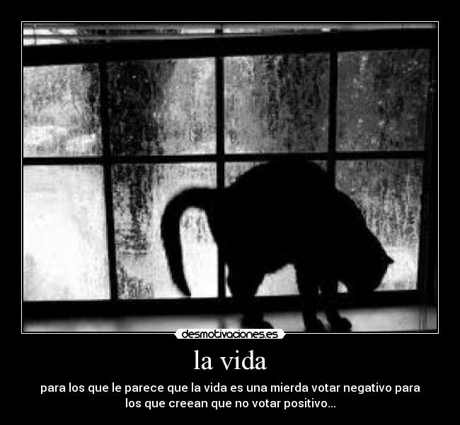 carteles vida maluli desmotivaciones