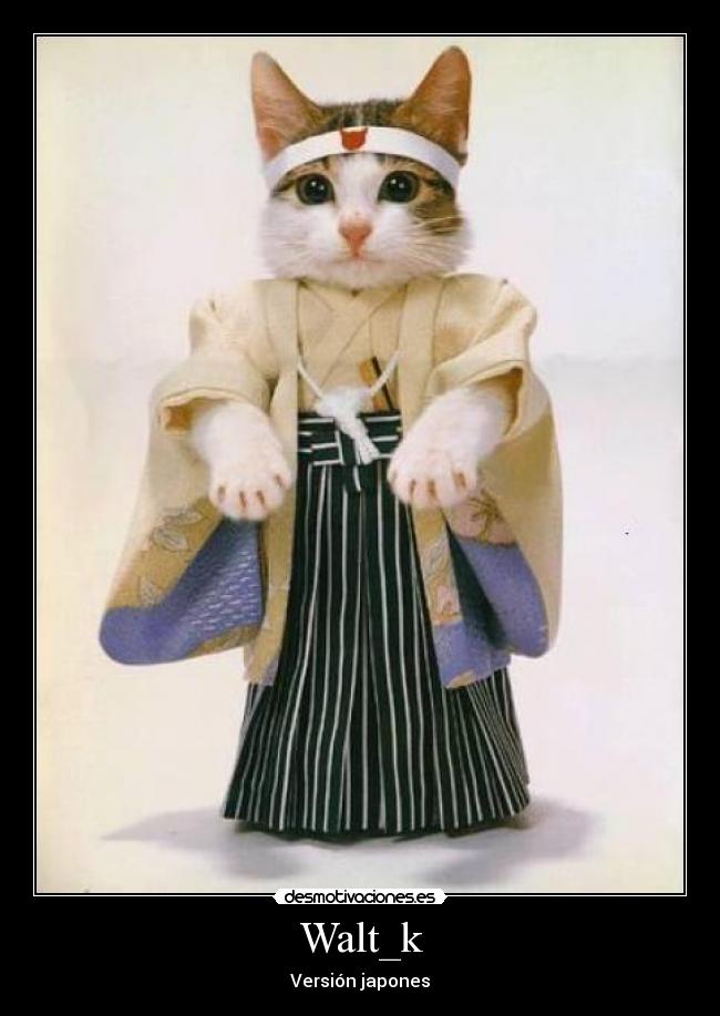 Walt_k - Versión japones