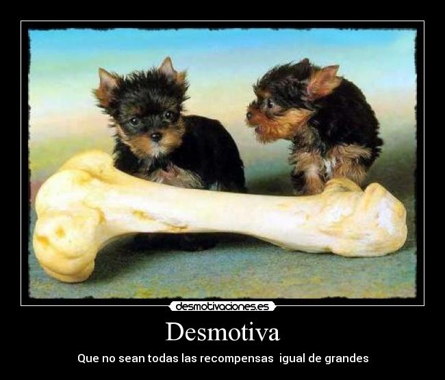 Desmotiva - Que no sean todas las recompensas  igual de grandes