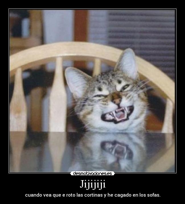 Jijijiji - cuando vea que e roto las cortinas y he cagado en los sofas.