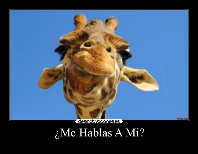 ¿Me Hablas A Mi? - 