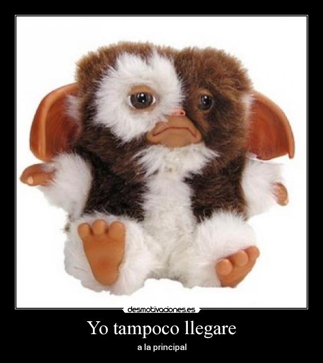 Yo tampoco llegare - 