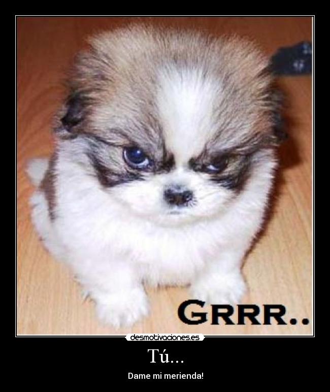Tú... - Dame mi merienda!