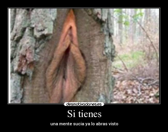 Si tienes - 