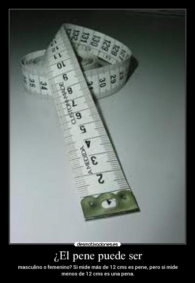 ¿El pene puede ser -