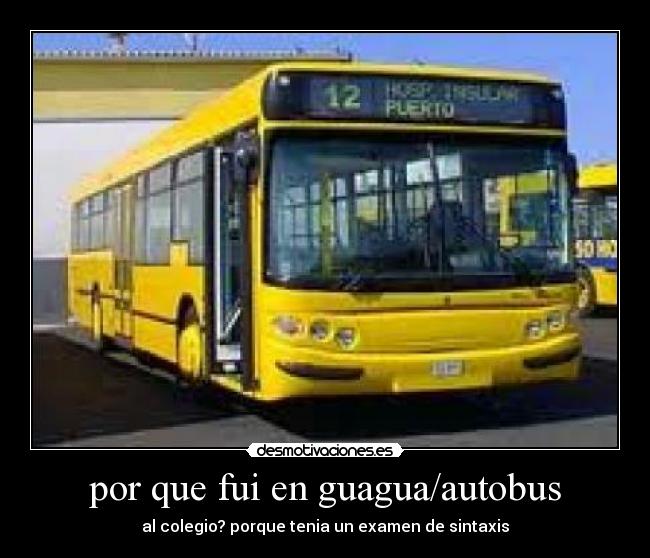 por que fui en guagua/autobus - al colegio? porque tenia un examen de sintaxis