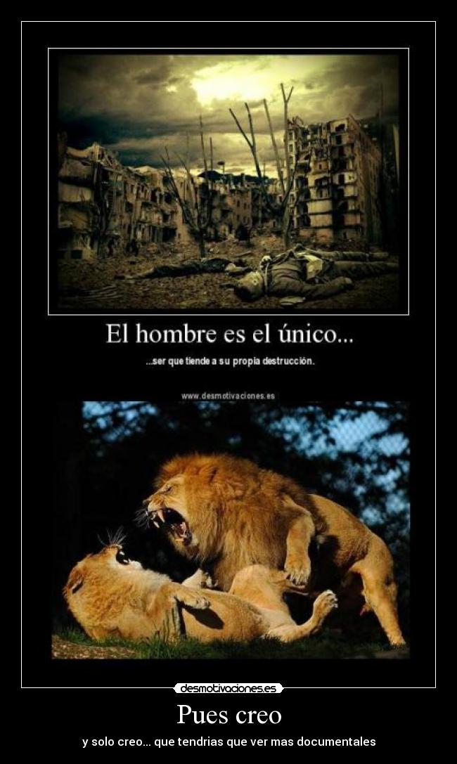 carteles leones desmotivaciones