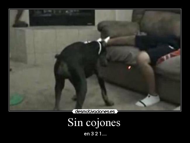 Sin cojones  - 