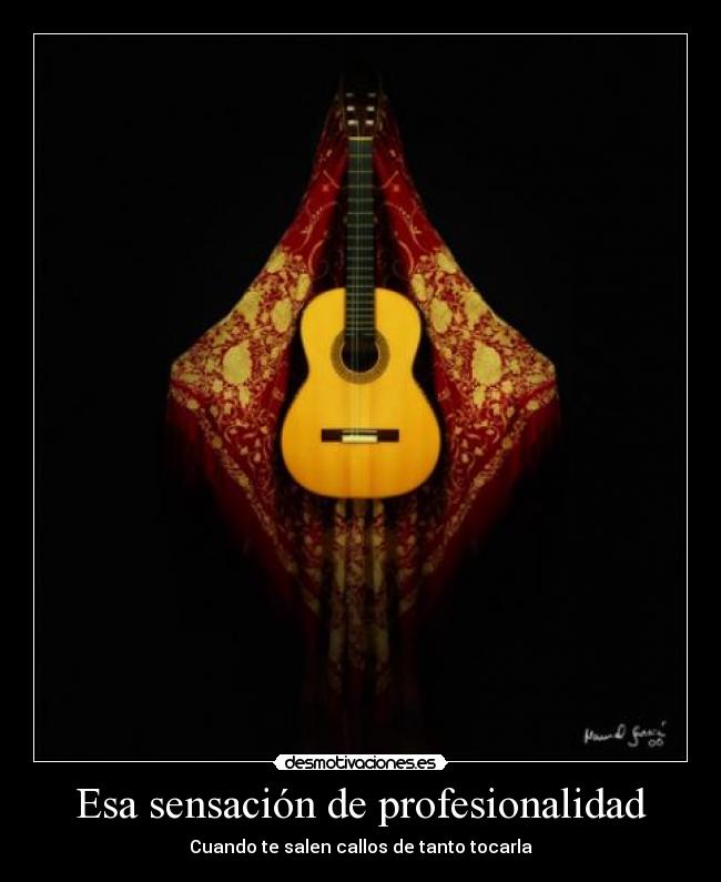 Esa sensación de profesionalidad - 