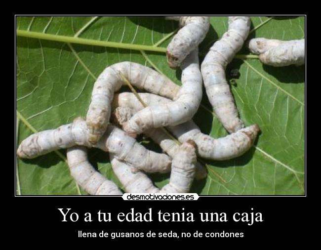Yo a tu edad tenia una caja - llena de gusanos de seda, no de condones