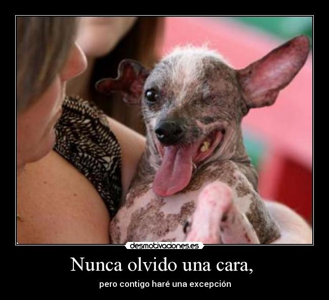 Nunca olvido una cara, - pero contigo haré una excepción