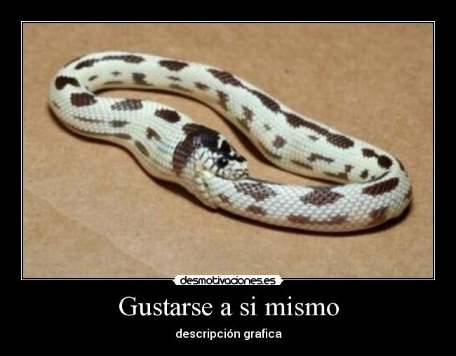 Gustarse a si mismo - descripción grafica