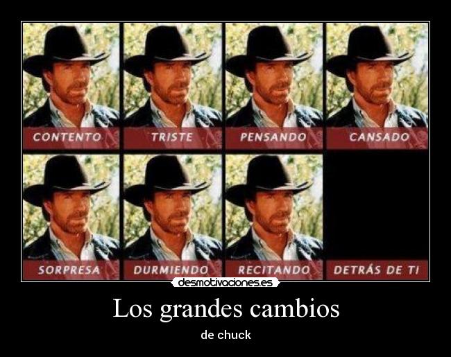 carteles chuck norris desmotivaciones