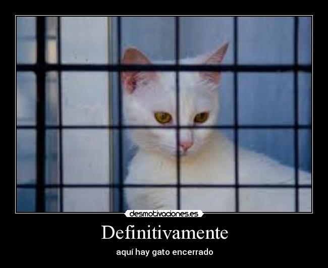 Definitivamente - 