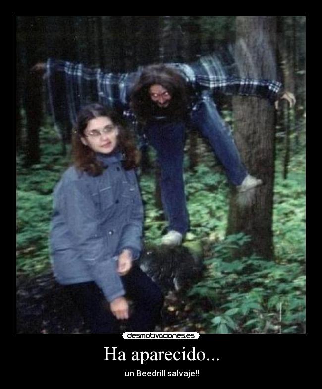 Ha aparecido... - un Beedrill salvaje!!