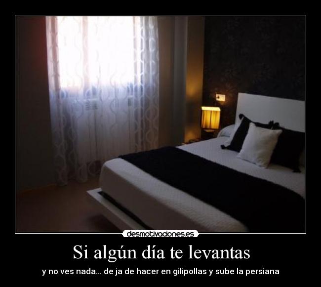 Si algún día te levantas - y no ves nada... de ja de hacer en gilipollas y sube la persiana