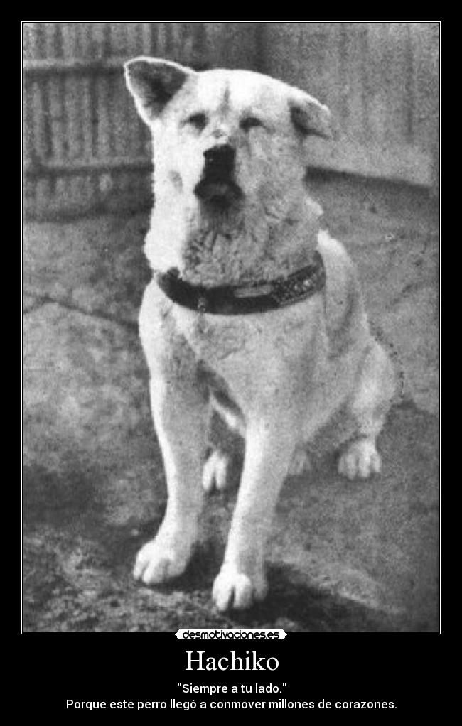 Hachiko - Siempre a tu lado.
Porque este perro llegó a conmover millones de corazones.